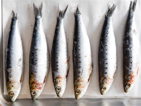 sardines taste  definitive guide medmunch