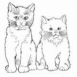 Kucing Colorare Gatti Disegni Mewarnai Gatto Lucu Imut Latihan Micio sketch template