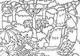 Rainforest Amazon Coloring Coloring4free Pages Printable sketch template