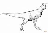 Albertosaurus Carnotaurus sketch template