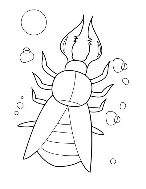 bug coloring pages animal place