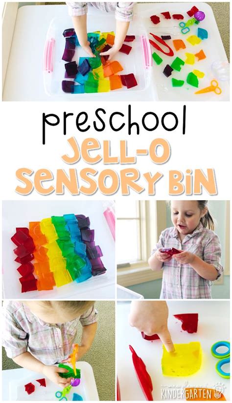 preschool  senses  plemons kindergarten senses preschool