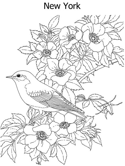 inspirational stock state birds  flowers coloring pages
