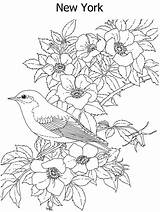 Coloring Pages Bird Flower State Difficult Printable Color York Hard Flowers Birds Colouring Adult Print Animal Kidzone Ws Kids Drawings sketch template