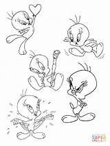 Tunes Looney Coloring Pages Tweety sketch template