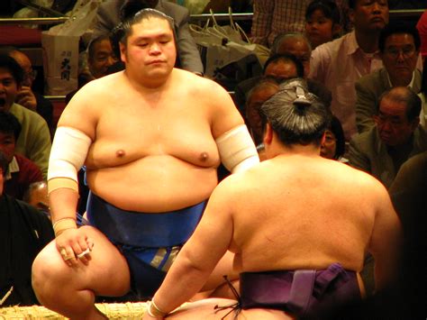 sumo wrestling  sumo night  kokugikan arena set jose alegria flickr