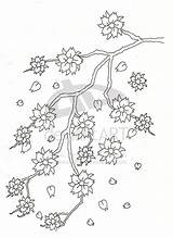 Cherry Blossom Coloring Pages Tree Drawing Tattoo Flower Trees Sheets Outline Beautiful Ziyaret Et Visit Choose Board çizimler sketch template