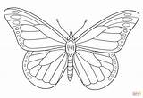 Monarch Butterfly sketch template
