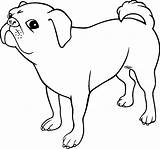 Berner Hond Sennen sketch template