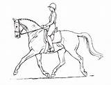 Horse Paard Ruiter Dressage Paarden Heste Drawing Tegninger Rytter Outlines Dieren Getdrawings Kone Omnilabo Meisje Perspectiva Springend Printen Pilk Kresleni sketch template