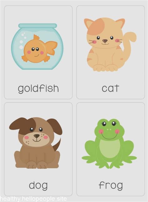 pets flash cards flashcards  kids printable flash cards pets