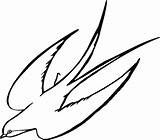 Golondrina Dibujo Volando Swallow sketch template