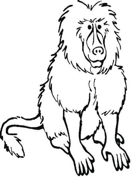 rainforest animals coloring pages  getdrawings