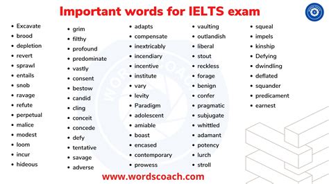 important words  ielts exam word coach