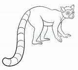 Lemur Getcolorings sketch template