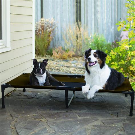 elevated pet bed  summer dog products popsugar family photo