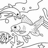 Coloring Fish Pages Sea Kids Life Nine Funniest sketch template
