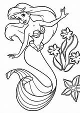 Ariel Mewarnai Pintar Duyung Arielle Meerjungfrau Puteri Desenhar Mewarna Kertas Pagine Druckbare Cetak Boleh sketch template