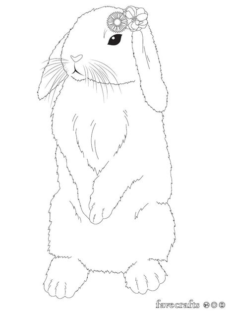 collections coloring pages  bunnies latest coloring pages