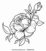 Rosebud Coloring Designlooter Inflorescence Bouquet Element Roses Vector Line Decor Style sketch template