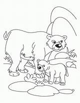 Coloring Pages Bear Animals Their Babies Mother Baby Cub Cubs Father Logo Drawing Waiting His Chicago Polar Kids Build Clipart sketch template
