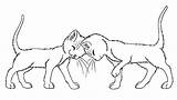 Warrior Coloring Cat Pages Cats Lineart Wildpathofshadowclan Kit Tabby Kits Warriors Base Erin Hunter Deviantart Print Mates Template Wings Body sketch template