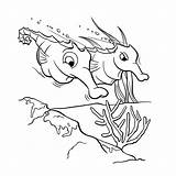 Seahorse Coloring Books Pages Last sketch template