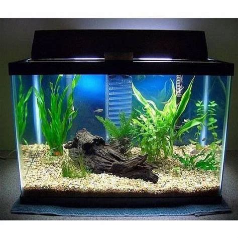 fish tanks   price  chennai  boyu redlin aquarium id