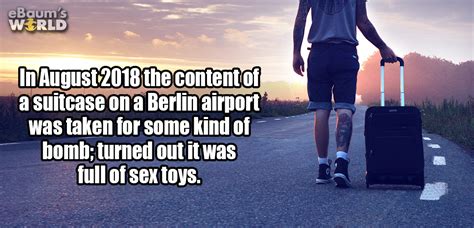 19 Fascinating Facts That Are A Great Start Of The Fall