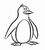 Penguin Coloring Penguins Pages Template Printable Outline Cartoon Drawing Drawings Pittsburgh Kids Print Clipart Templates Colouring Animal Birds Color Funny sketch template