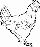 Chicken Coloring Pages Kids Realistic Printable Drawing Minecraft Chickens Hen Color Outline Rooster Cartoon Getdrawings Getcolorings Print Animal Animals Cooked sketch template