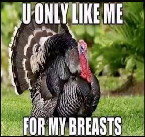 Funny Turkey Pictures Thanksgiving 2019