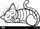 Tabby Sleeping sketch template