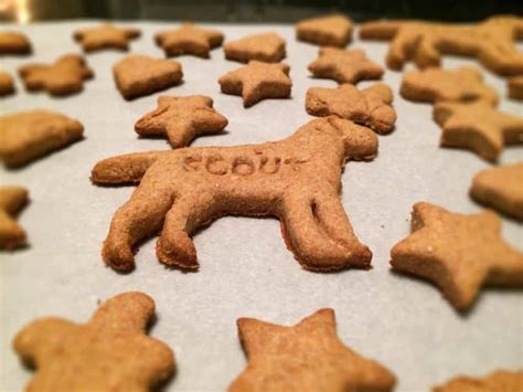 homemade dog treats peanut butter  cookie rookie