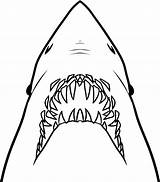Jaws Line Tiburón Mandíbula Tiburon Pyrography Dragoart Ripped Stencils Mandibula Sharks sketch template