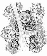 Panda Mandalas Colorare Disegni Colorear Adulti Kolorowanki Zentangle Adultos Immagine Druku Dibujos Facili Justcolor Coloriages Pagine Adulte Fantastici Malvorlagen Ausdrucken sketch template