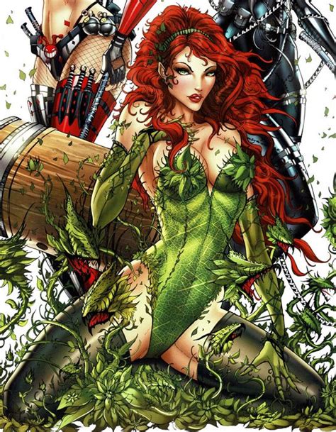 Catwoman Harley Quinn And Poison Ivy The Gotham City