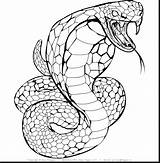 Snake Realistic Coloring Pages Kids Drawing Cobra Snakes Color Sheets Template Step Printable Print Getdrawings Life Highest Getcolorings Sketch sketch template
