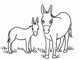Donkey Coloring Pages Baby Printable Head Drawing Color Template Print Printables Sketch Ollie Getdrawings Getcolorings sketch template