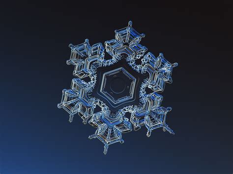 stunning snowflake   wont      amateur