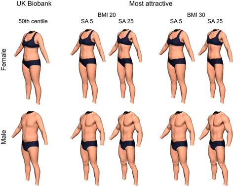 body types women average