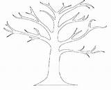 Coloring Tree Oak Getdrawings sketch template