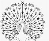 Realistic Peacock Coloring Pages Printable Getcolorings sketch template