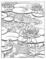 Coloring Pond Koi Pages Fish Waterfall Drawing Colouring Ponds Adult Printable Book Template Color Getdrawings Lotus Getcolorings Sketch Flower Jinni sketch template