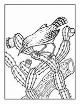 Cactus Intense Kaktus Bestcoloringpagesforkids Wren Getdrawings sketch template