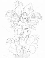 Fairy Coloring Pages Jody Baby Bergsma Mermaid Enchanted Drawing Designs Few Courtesy Artist Printable Getdrawings sketch template