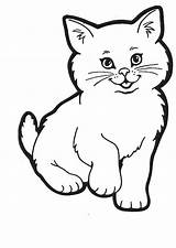 Cat Coloring Kitty Show Lovely Color Kids sketch template
