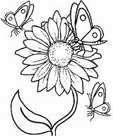 Sunflower Coloring Butterfly Pages Printable Flowers Kids Categories sketch template