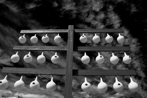 bird houses  black  white photograph  craig perry ollila fine