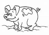 Pig Coloring Pages Printable Creature Funny Kids sketch template